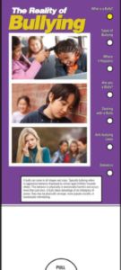 The Reality of Bullying Slide Chart