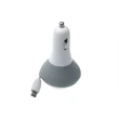 Hale Car Charger | https://www.bestnamebadges.com