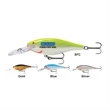 Rapala Shad Rap 2-3/4'' Fishing Lure | https://www.bestnamebadges.com