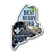 Maine State Magnet | https://www.bestnamebadges.com