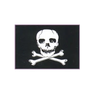 Jolly Roger Window Decals 3