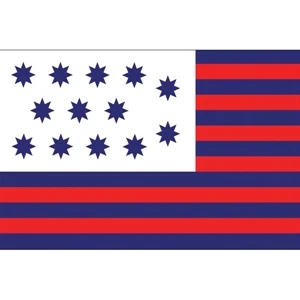 Special Historical Stick Flag - Guilford Courthouse | https://www.bestnamebadges.com
