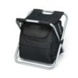 Deluxe Spectator Cooler Chair | https://www.bestnamebadges.com