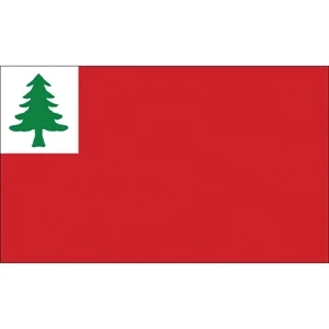 Special Historical Flags - Continental | https://www.bestnamebadges.com