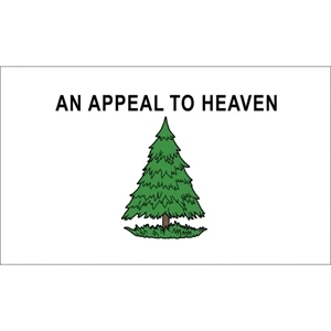 Special Historical Flags - Washington's Cruisers | https://www.bestnamebadges.com