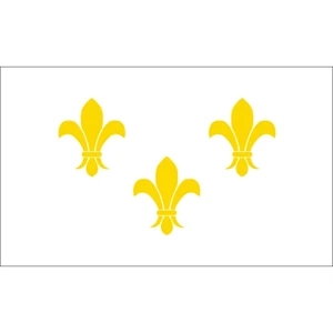 Special Historical Flags - White Fleur de Lis | https://www.bestnamebadges.com