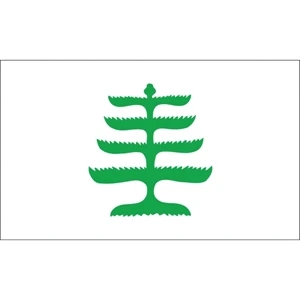 Special Historical Flags - Pine Tree | https://www.bestnamebadges.com