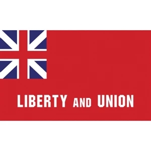 Special Historical Flags - Taunton | https://www.bestnamebadges.com