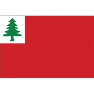 Special Historical Stick Flag - Continental | https://www.bestnamebadges.com