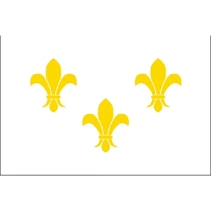 Special Historical Stick Flag - White Fleur de Lis | https://www.bestnamebadges.com