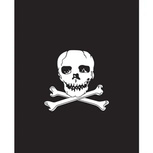Jolly Roger Garden Pennant | https://www.bestnamebadges.com