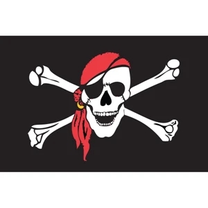 One Eyed Jack Stick Flag | https://www.bestnamebadges.com