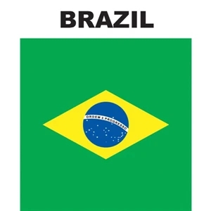Mini Banner - Brazil | https://www.bestnamebadges.com