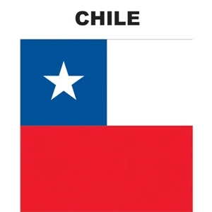 Mini Banner - Chile | https://www.bestnamebadges.com