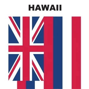 Mini Banner - Hawaii | https://www.bestnamebadges.com