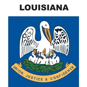 Mini Banner - Louisiana | https://www.bestnamebadges.com