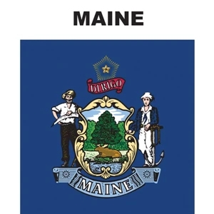 Mini Banner - Maine | https://www.bestnamebadges.com