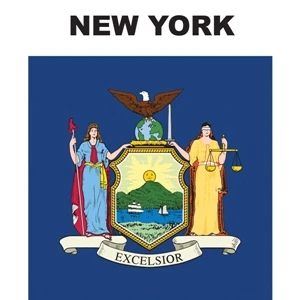 Mini Banner - New York | https://www.bestnamebadges.com