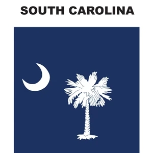 Mini Banner - South Carolina | https://www.bestnamebadges.com