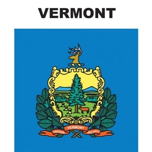 Mini Banner - Vermont | https://www.bestnamebadges.com