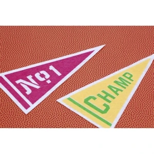 17" x 40" Wool Felt Pennant with Wood Pole - Class B
