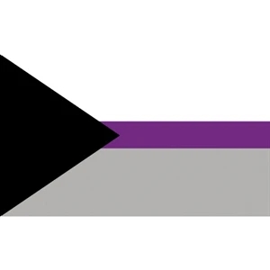 Demisexual Motorcycle Flag | https://www.bestnamebadges.com