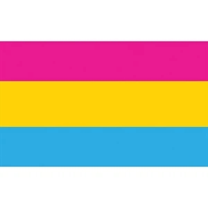 Pansexual Antenna Flag | https://www.bestnamebadges.com
