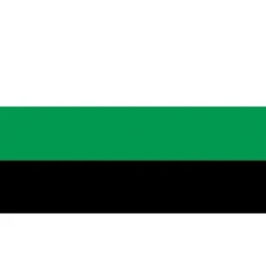 Neutrois Deluxe Flag | https://www.bestnamebadges.com