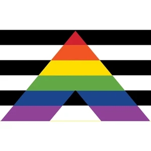Straight Ally Flag | https://www.bestnamebadges.com