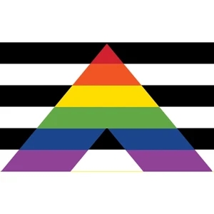 Straight Ally Premium Car Flag | https://www.bestnamebadges.com