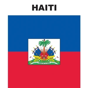 Mini Banner - Haiti | https://www.bestnamebadges.com