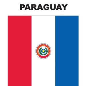 Mini Banner - Paraguay | https://www.bestnamebadges.com