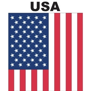 Mini Banner - USA | https://www.bestnamebadges.com
