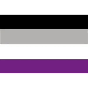 Asexual Deluxe Flag | https://www.bestnamebadges.com