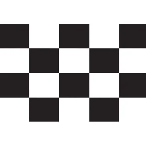 Checkered Racing Stick Flags - ePoly | https://www.bestnamebadges.com