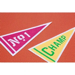 17" x 40" Acrylic Felt Pennant without Pole - Class C