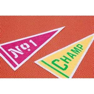 9" x 24" Acrylic Felt Pennant with Wood Pole - Class A