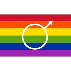 Gay Premium Car Flag | https://www.bestnamebadges.com