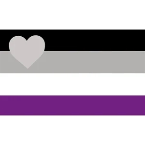 Demiromantic Deluxe Flag- Design 1 | https://www.bestnamebadges.com