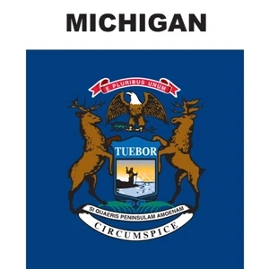 Mini Banner - Michigan | https://www.bestnamebadges.com