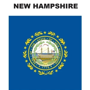 Mini Banner - New Hampshire | https://www.bestnamebadges.com