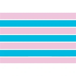 Transsexual Stick Flag | https://www.bestnamebadges.com