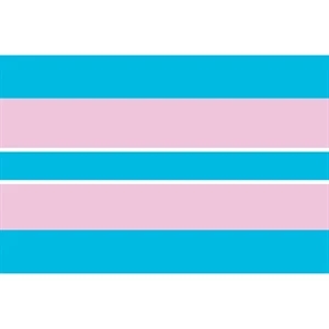 Transgender Motorcycle Flag | https://www.bestnamebadges.com