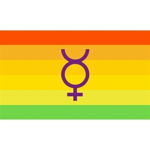 Hermaphrodite Flag | https://www.bestnamebadges.com