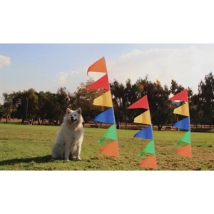 Ground Pennant