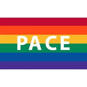 Pace Motorcycle Flag | https://www.bestnamebadges.com