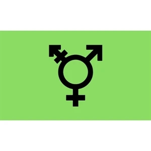 Israel Trans Deluxe Flag | https://www.bestnamebadges.com