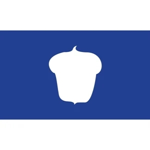 Officers Flag - Treasurer | https://www.bestnamebadges.com