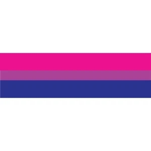 Bisexual Window Decals 3