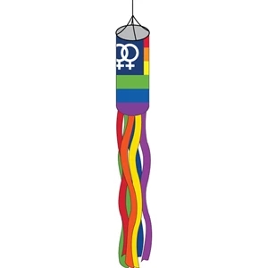 Double USA Venus Windsock